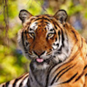 Meet your Posher, Jimmy